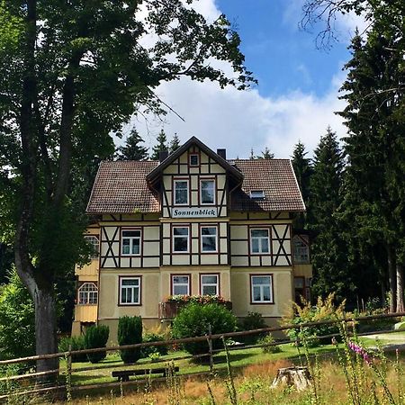 Haus Sonnenblick Lejlighed Benneckenstein Eksteriør billede