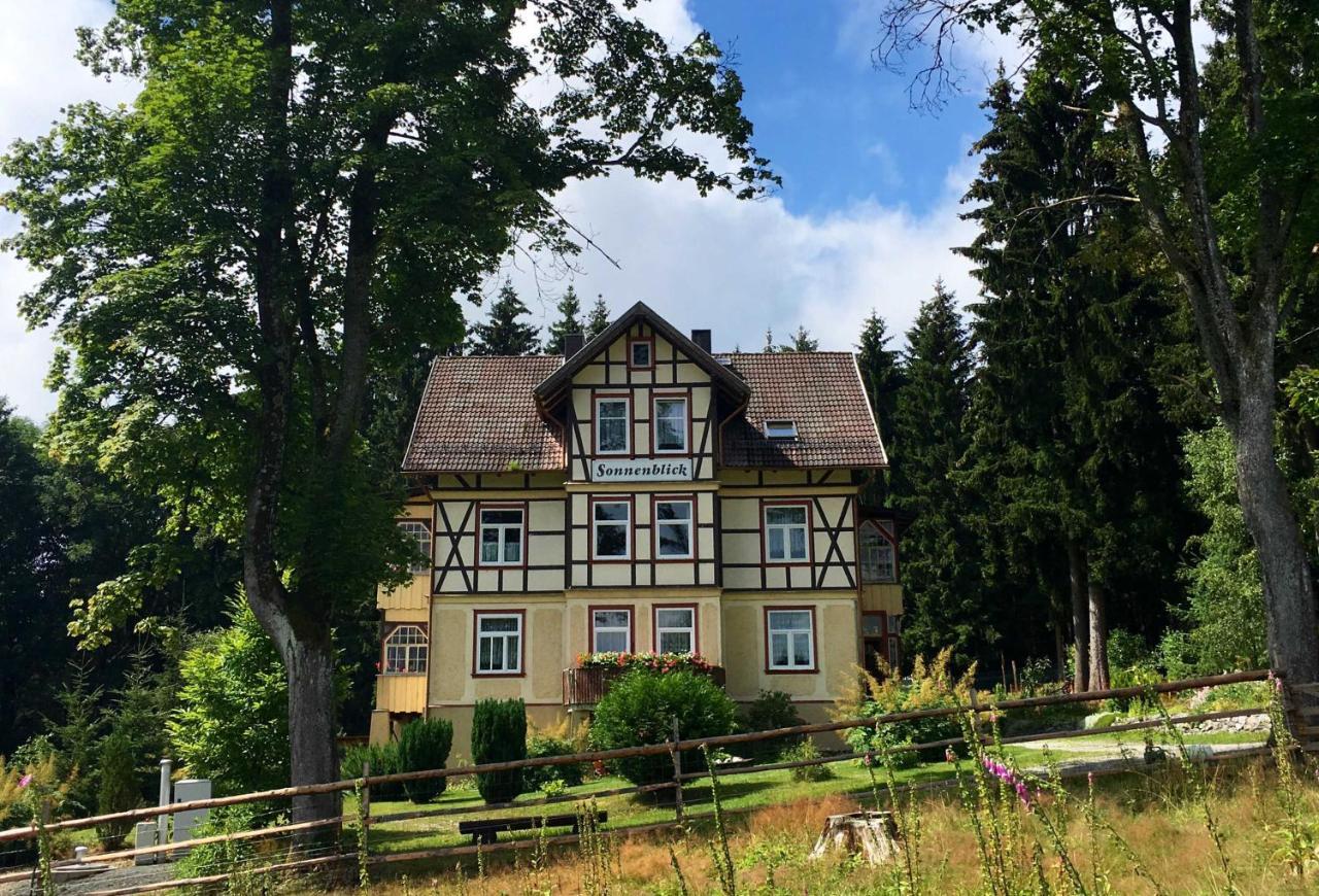Haus Sonnenblick Lejlighed Benneckenstein Eksteriør billede