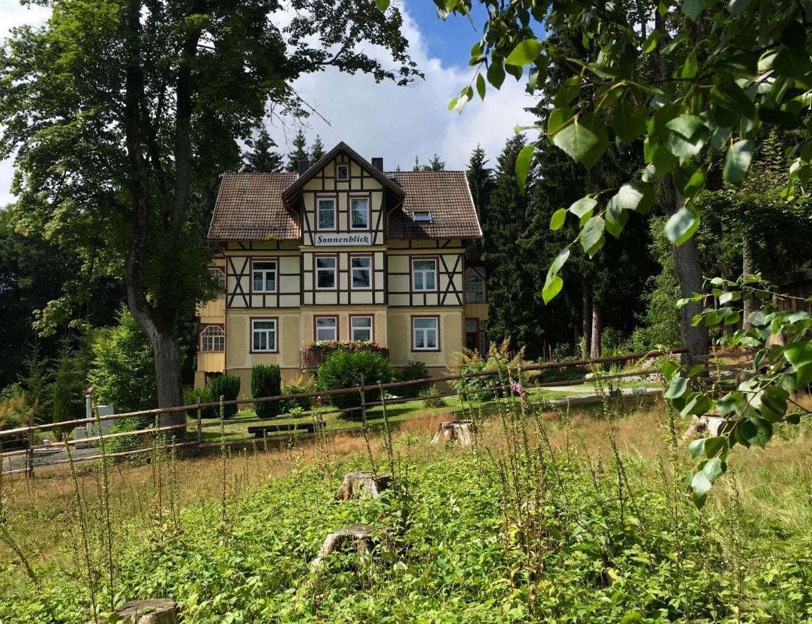 Haus Sonnenblick Lejlighed Benneckenstein Eksteriør billede