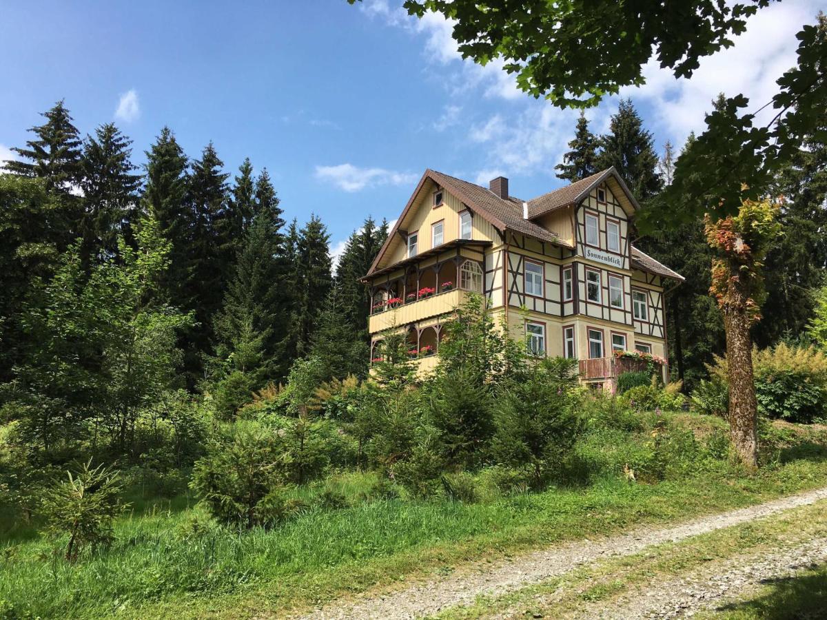 Haus Sonnenblick Lejlighed Benneckenstein Eksteriør billede