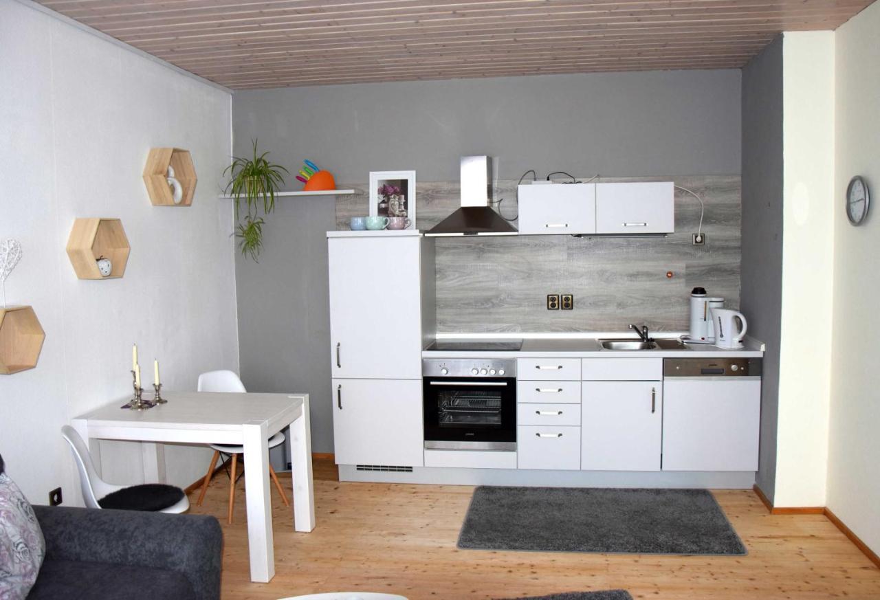 Haus Sonnenblick Lejlighed Benneckenstein Eksteriør billede