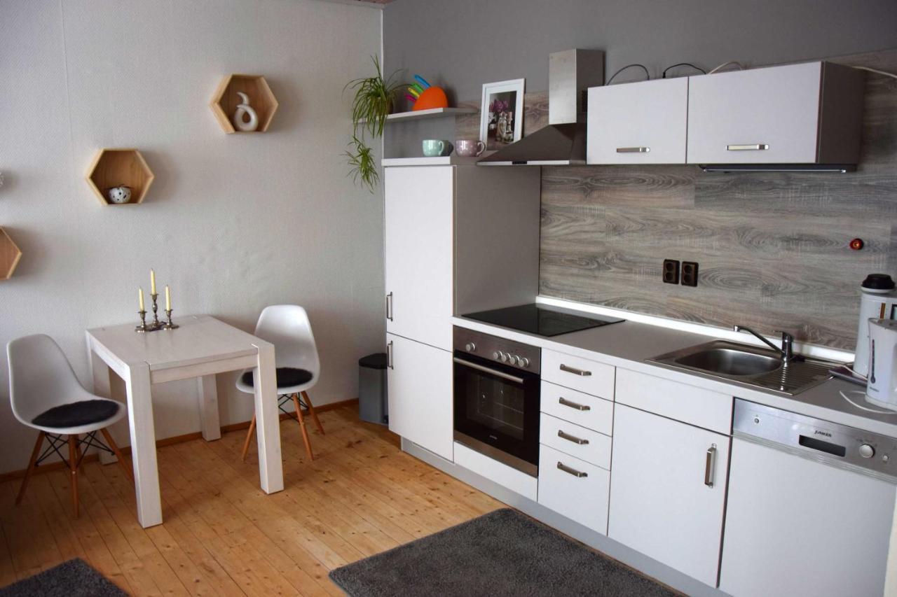 Haus Sonnenblick Lejlighed Benneckenstein Eksteriør billede
