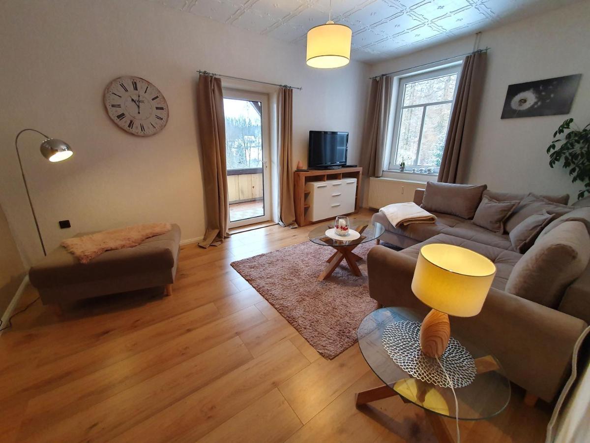 Haus Sonnenblick Lejlighed Benneckenstein Eksteriør billede