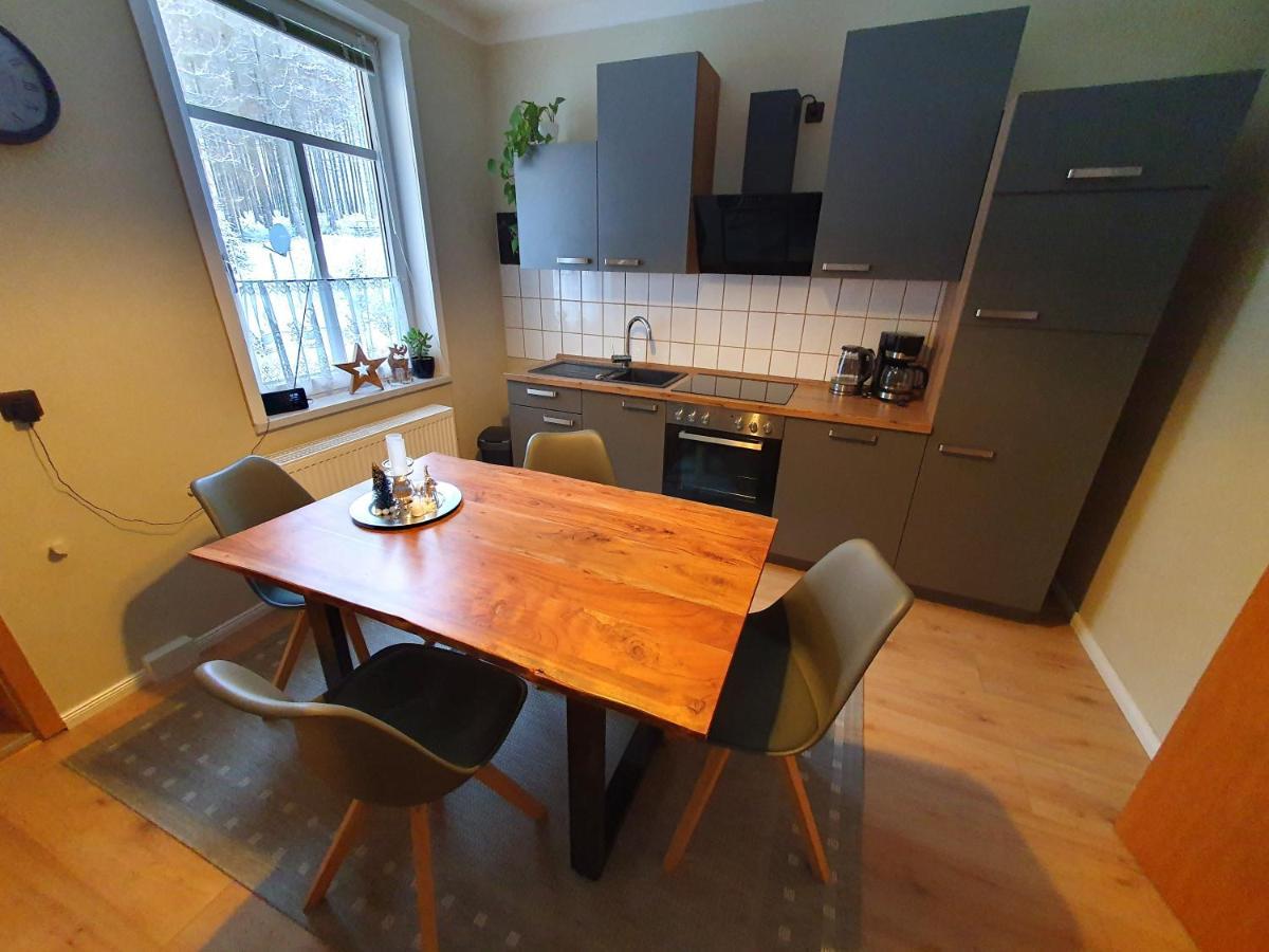 Haus Sonnenblick Lejlighed Benneckenstein Eksteriør billede