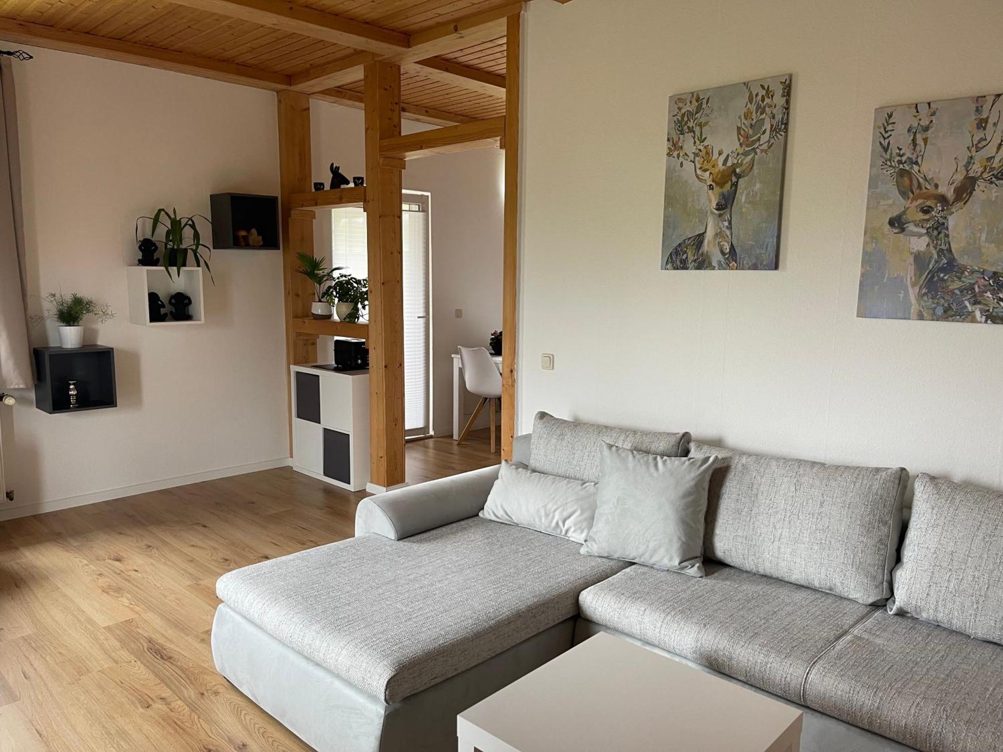 Haus Sonnenblick Lejlighed Benneckenstein Eksteriør billede